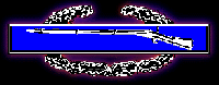 Combat Infantry Badge